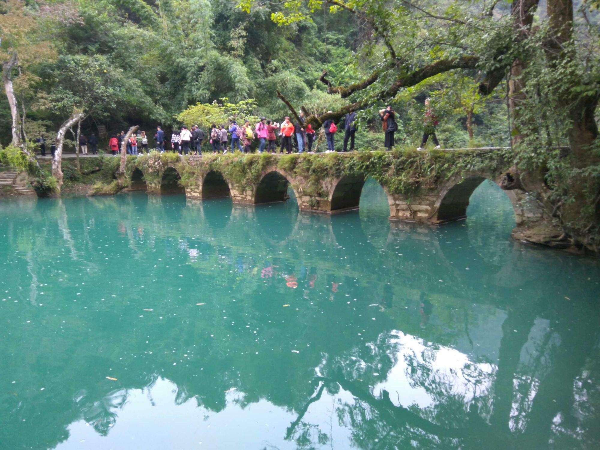 荔波通苹果版种业通苹果版app-第2张图片-太平洋在线下载